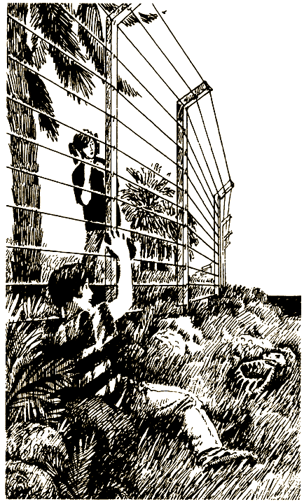 Остров динозавров - i_014.png