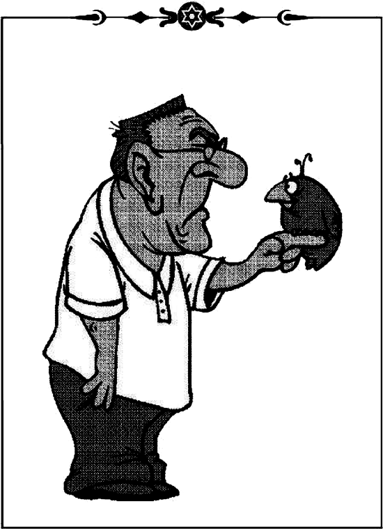 Еврейское остроумие. Земля обетованная - i_006.png