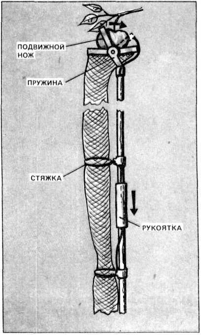 Что собрали - сохраним - Urozha02.jpg