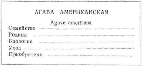 Путешествие с домашними растениями - pic_54.jpg