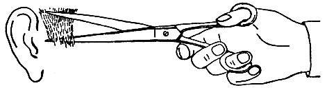 Парикмахерское дело (практическое пособие) - img_58.jpeg