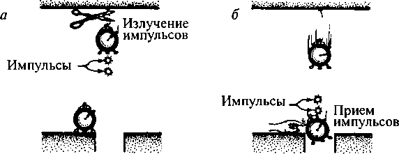 Черные дыры и складки времени. Дерзкое наследие Эйнштейна - i_020.png