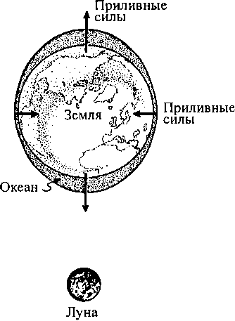 Черные дыры и складки времени. Дерзкое наследие Эйнштейна - i_022.png