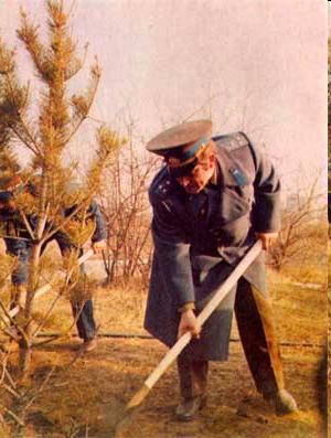 Родина крылья дала - img49ED.jpg