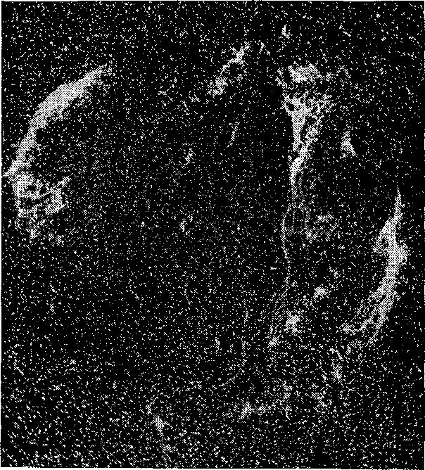 Звезды: их рождение, жизнь и смерть - img_612.png