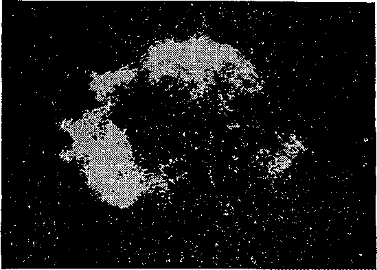 Звезды: их рождение, жизнь и смерть - img_626.png