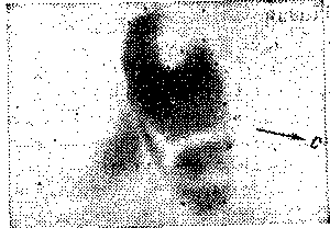 Звезды: их рождение, жизнь и смерть - img_765.png