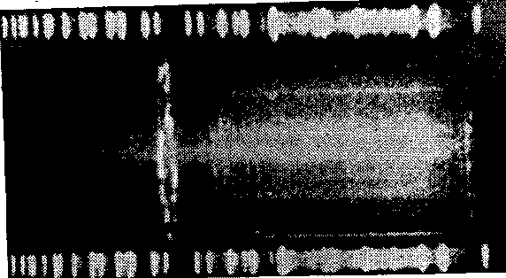 Звезды: их рождение, жизнь и смерть - img_767.png