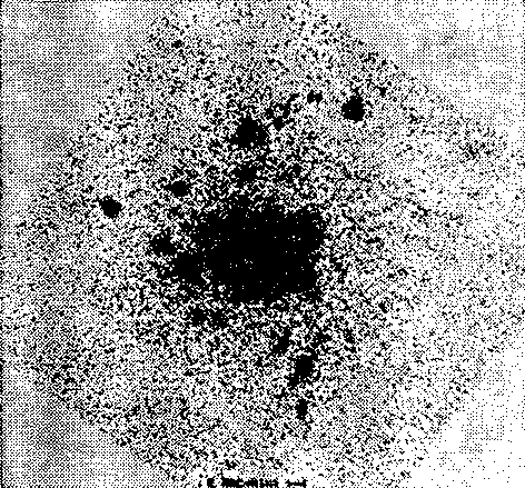 Звезды: их рождение, жизнь и смерть - img_1159.png