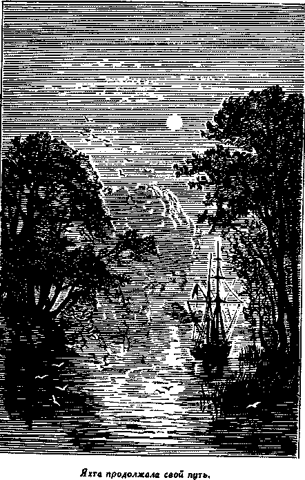 Дети капитана Гранта - i_013.png