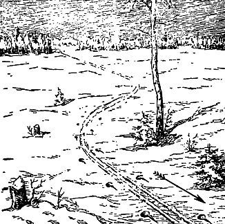Ориентирование на местности без карты - _30.jpg