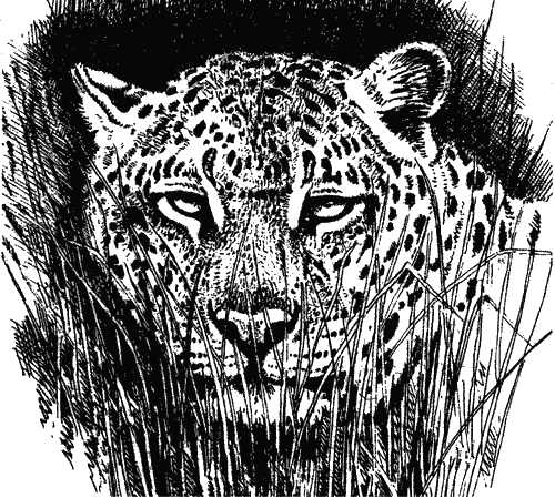 Храмовый тигр - i_007.png