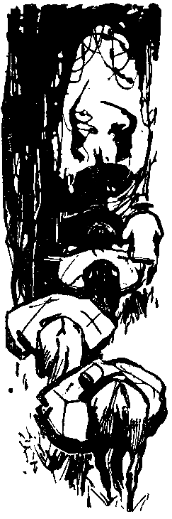 Следствие сквозь века - pic_26.png