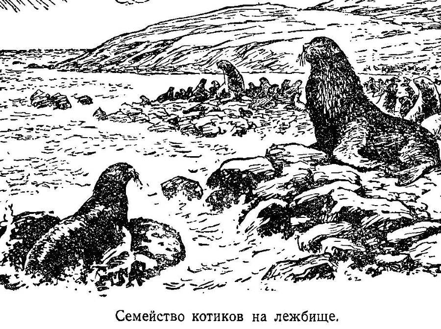 Моря нашей Родины - _86.jpg