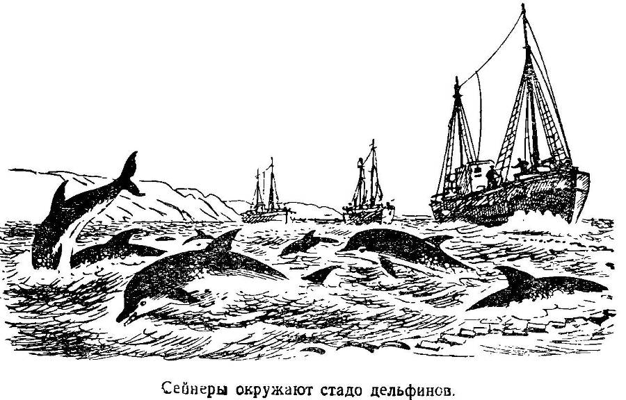 Моря нашей Родины - _34.jpg