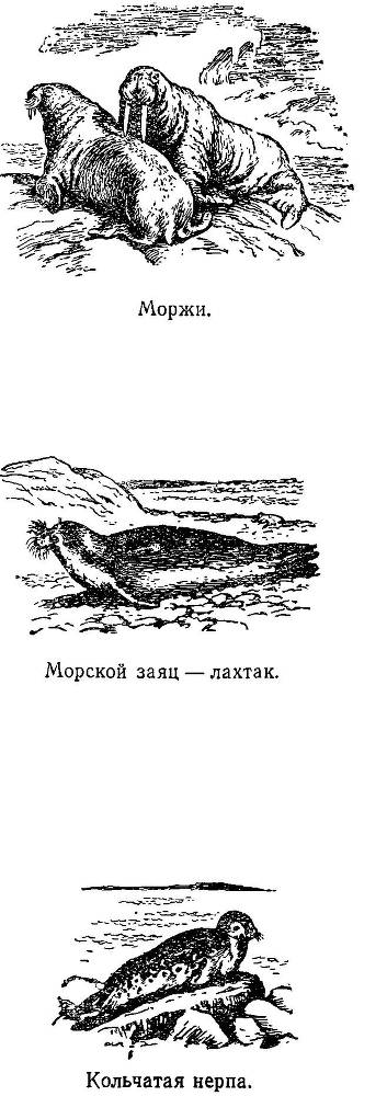 Моря нашей Родины - _115.jpg