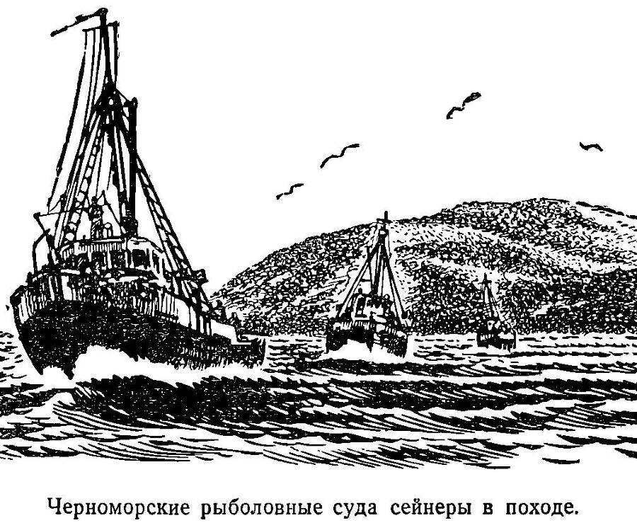 Моря нашей Родины - _38.jpg