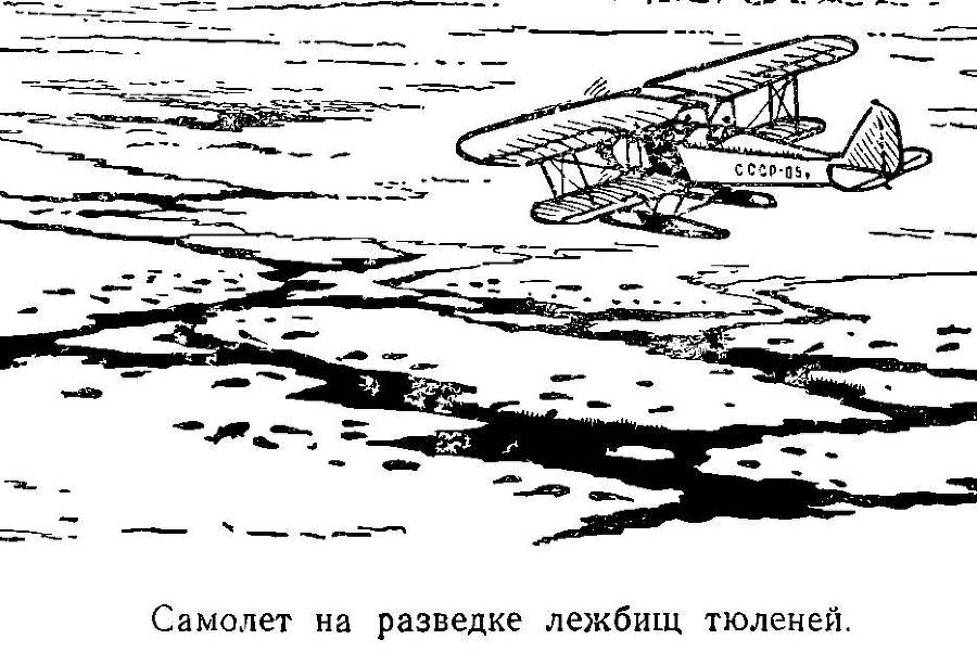 Моря нашей Родины - _125.jpg