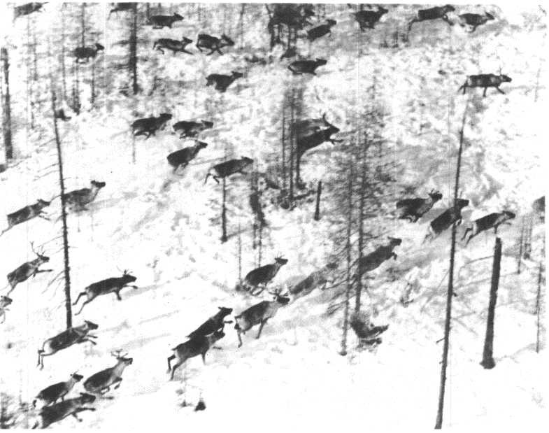 Глобус 1976 - _151.jpg