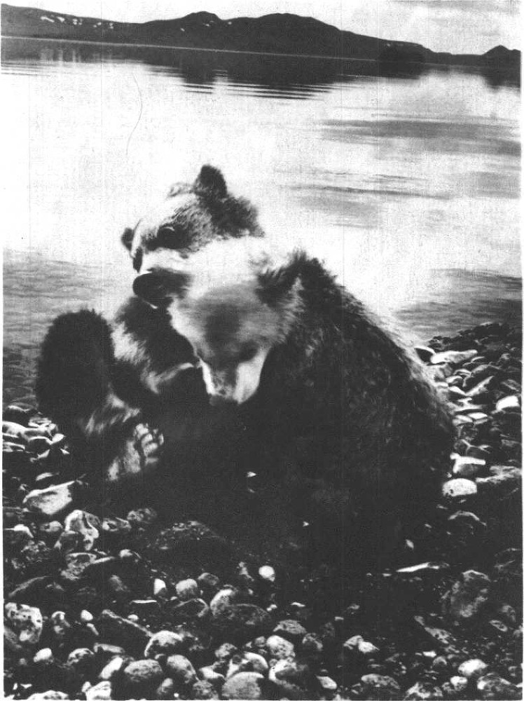 Глобус 1976 - _154.jpg