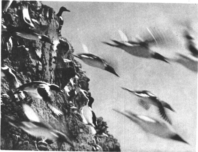 Глобус 1976 - _159.jpg