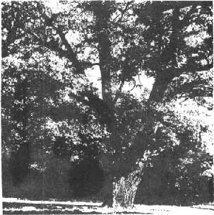 Глобус 1976 - _73.jpg