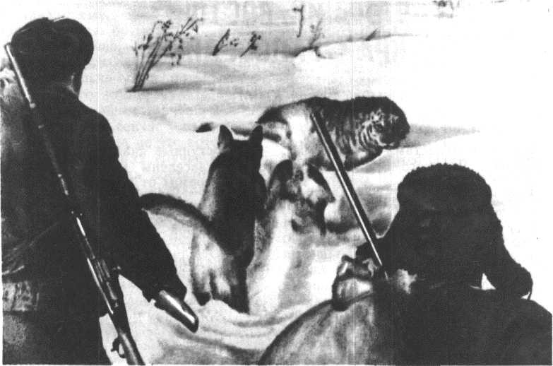Глобус 1976 - _152.jpg