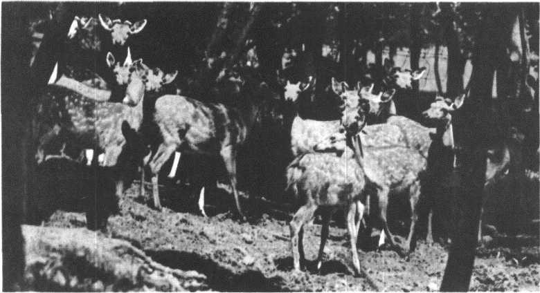Глобус 1976 - _153.jpg