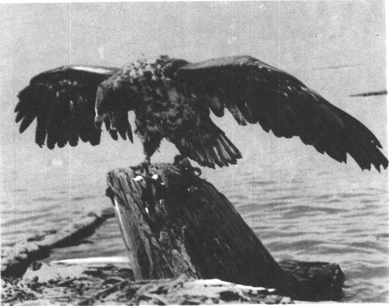 Глобус 1976 - _158.jpg
