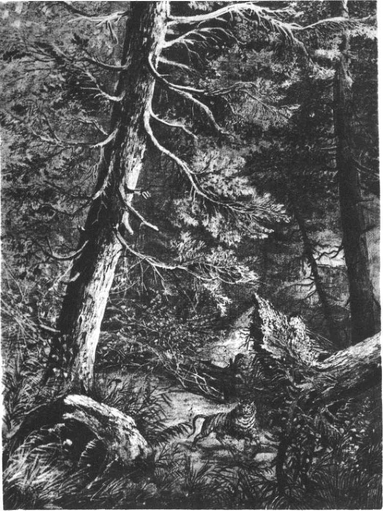 Глобус 1976 - _191.jpg