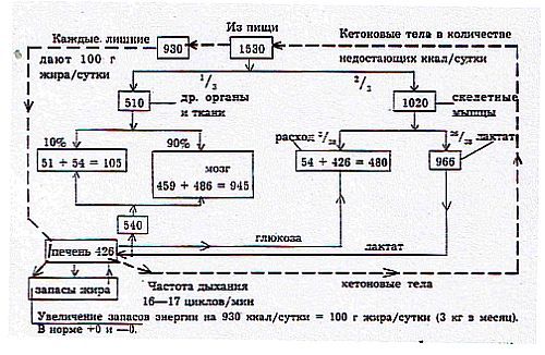 Вегетаринство (Загадки и уроки, польза и вред) - _05.jpg