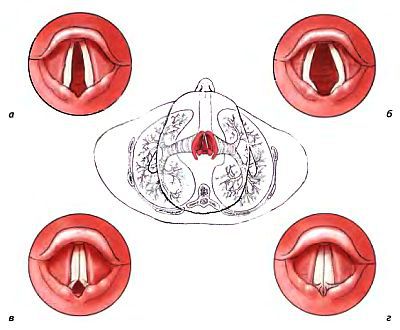 Анатомия йоги - _20.jpg_0
