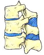 Анатомия йоги - _25.jpg_0