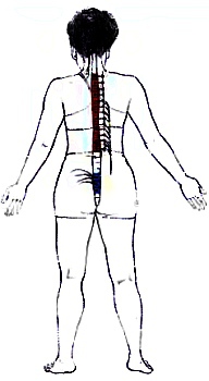 Анатомия йоги - _33.jpg_0