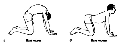 Анатомия йоги - _34.jpg_0