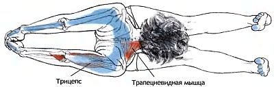 Анатомия йоги - _145.jpg
