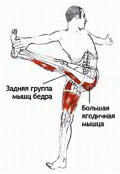 Анатомия йоги - _149.jpg