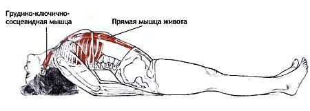 Анатомия йоги - _151.jpg