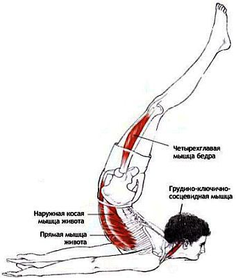 Анатомия йоги - _160.jpg