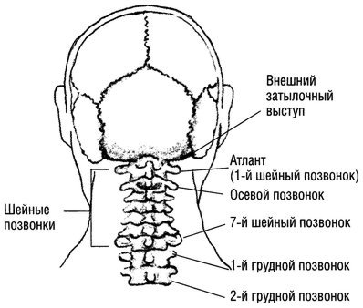 Квантовое Прикосновение: Исцеляющая энергия - i_040.jpg