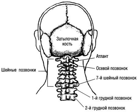 Квантовое Прикосновение: Исцеляющая энергия - i_054.jpg