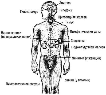 Квантовое Прикосновение: Исцеляющая энергия - i_060.jpg