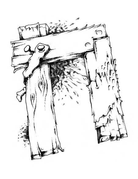 Русское сквернословие. Краткий, но выразительный словарь - _165.jpg