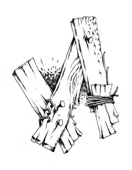 Русское сквернословие. Краткий, но выразительный словарь - _113.jpg