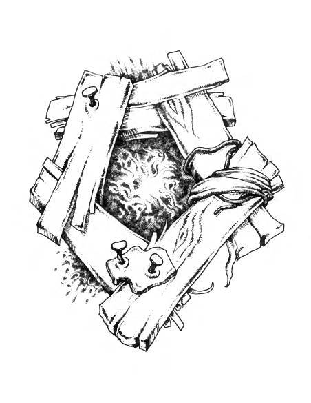 Русское сквернословие. Краткий, но выразительный словарь - _156.jpg