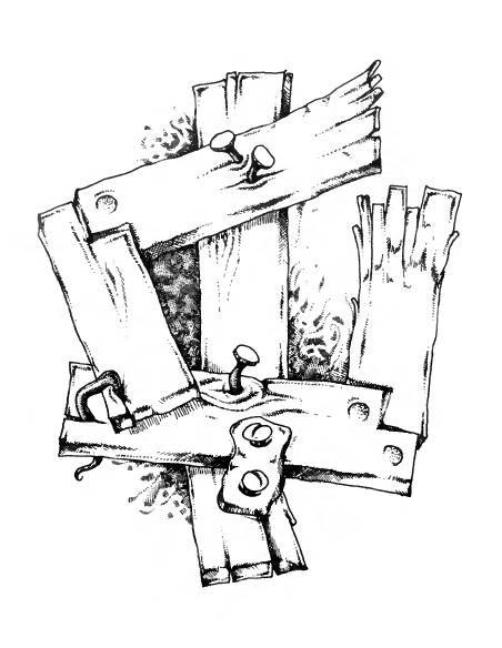 Русское сквернословие. Краткий, но выразительный словарь - _237.jpg