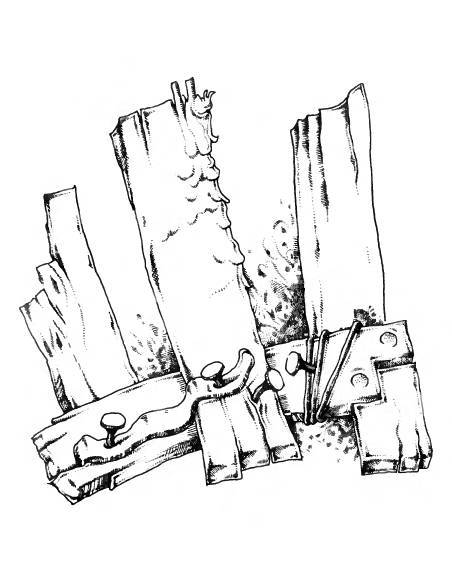 Русское сквернословие. Краткий, но выразительный словарь - _291.jpg