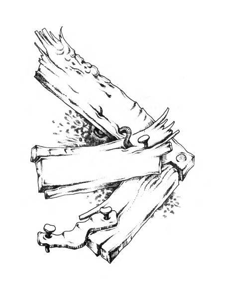 Русское сквернословие. Краткий, но выразительный словарь - _293.jpg