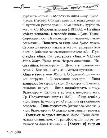 Русское сквернословие. Краткий, но выразительный словарь - _300.jpg