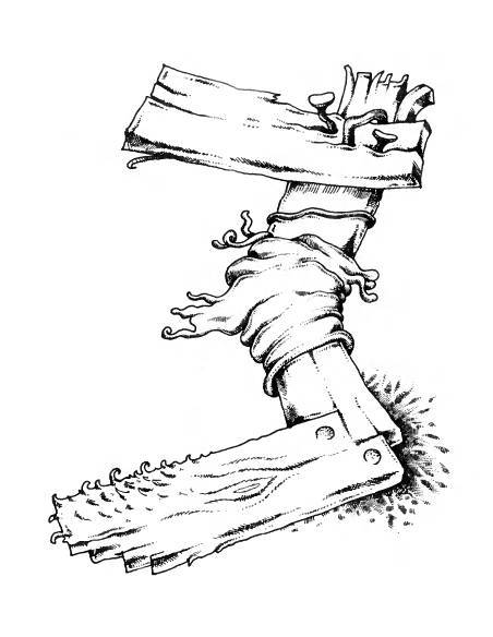 Русское сквернословие. Краткий, но выразительный словарь - _102.jpg